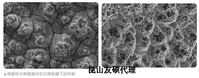 咸阳蔡司咸阳扫描电镜